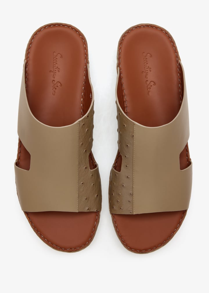 76123-earth_7.jpg?ts=20260228022555