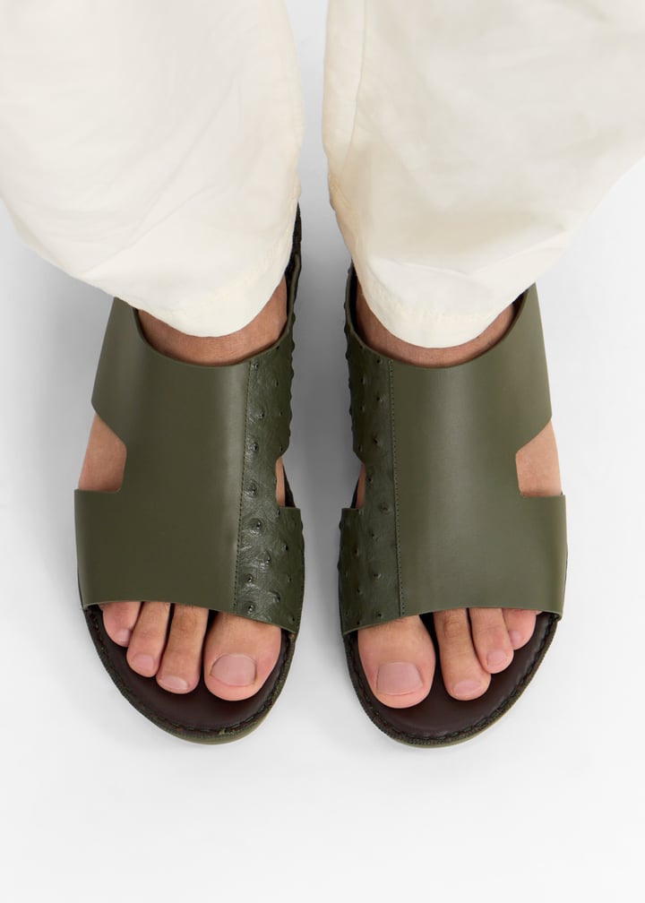 76123-olive_2.jpg?ts=20260228022556