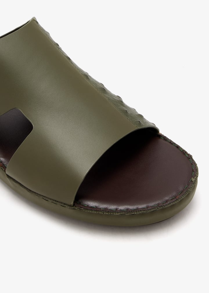 76123-olive_5.jpg?ts=20260228022556