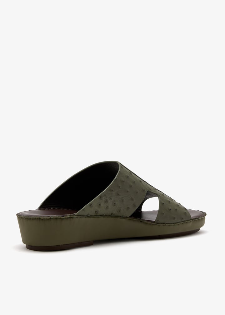 76123-olive_6.jpg?ts=20260228022556