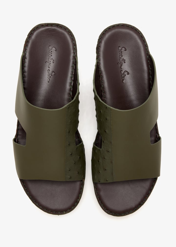 76123-olive_7.jpg?ts=20260228022556