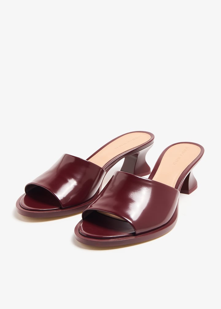 787037v4bo02226_5.jpg?ts=20240222040538