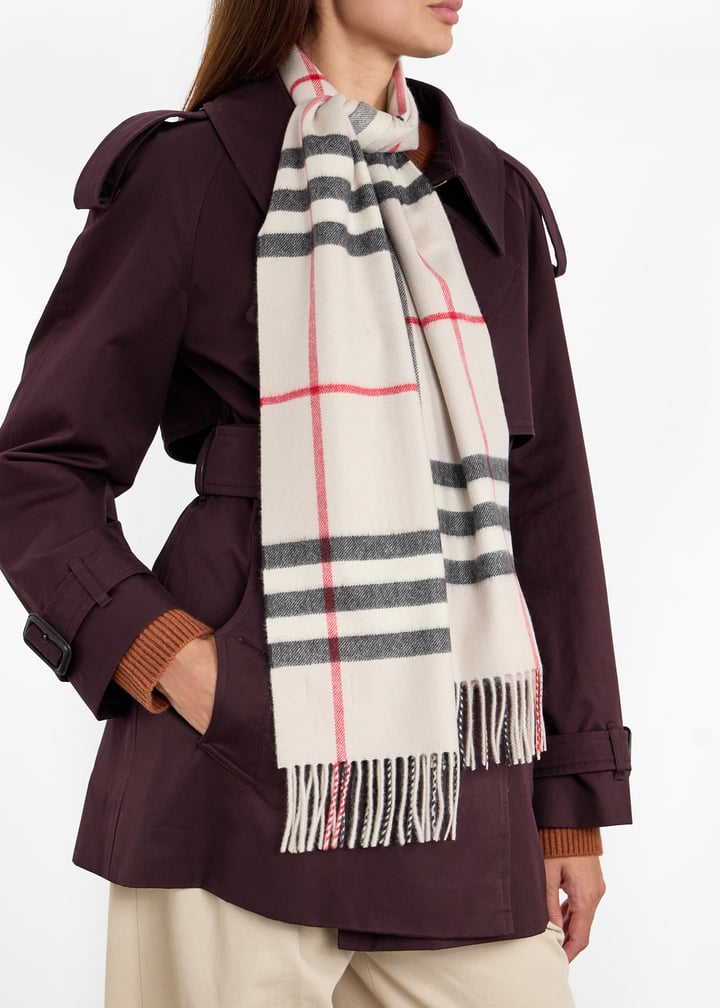 8015533_3.jpg?ts=20251219020530