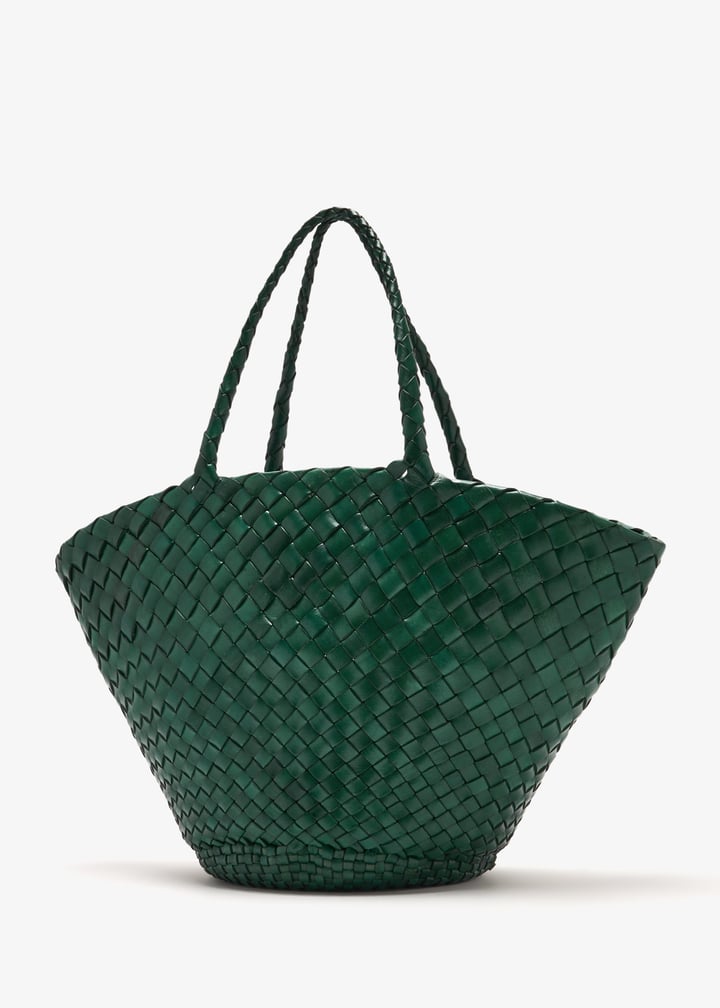 8026-forest_6.jpg?ts=20241227030517