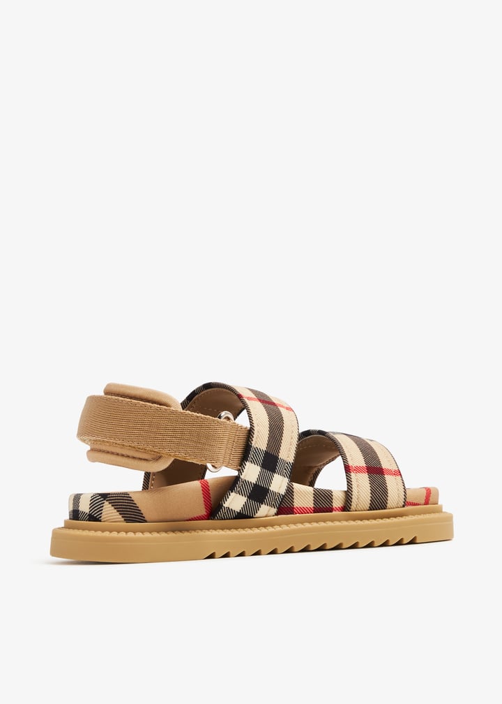 8081862-a7028_6.jpg?ts=20240302044115