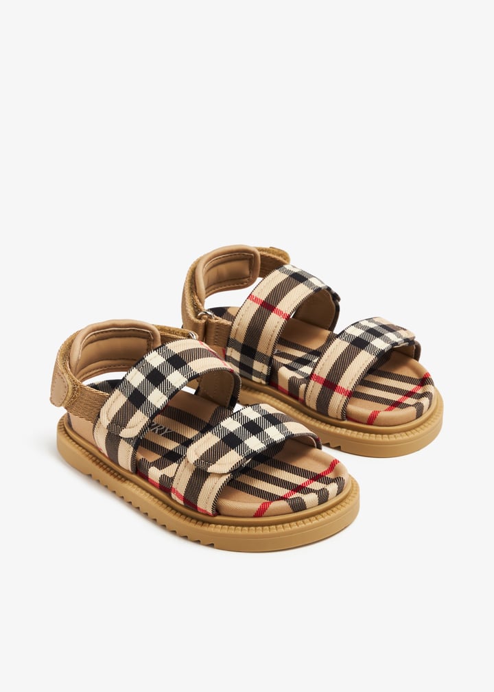 8081862-a7028_7.jpg?ts=20240302044115