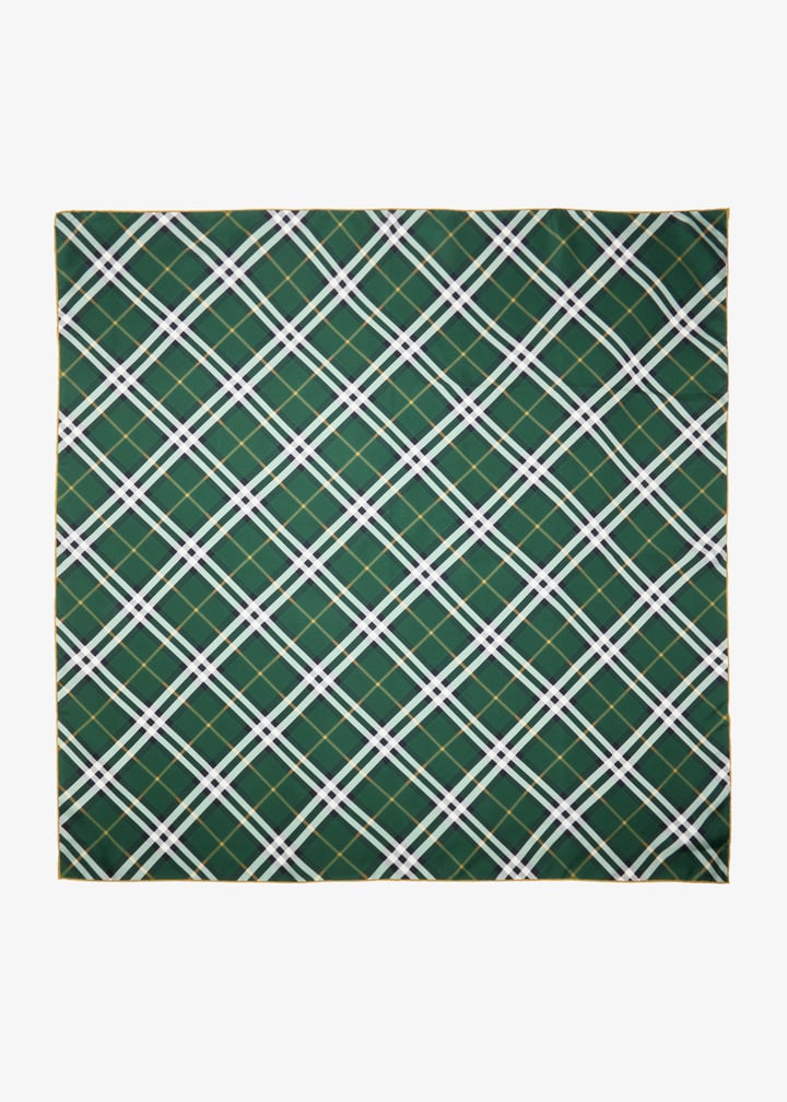 8090787_1.jpg?ts=20260106123150