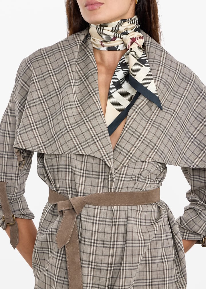 8095831_3.jpg?ts=20251219024549