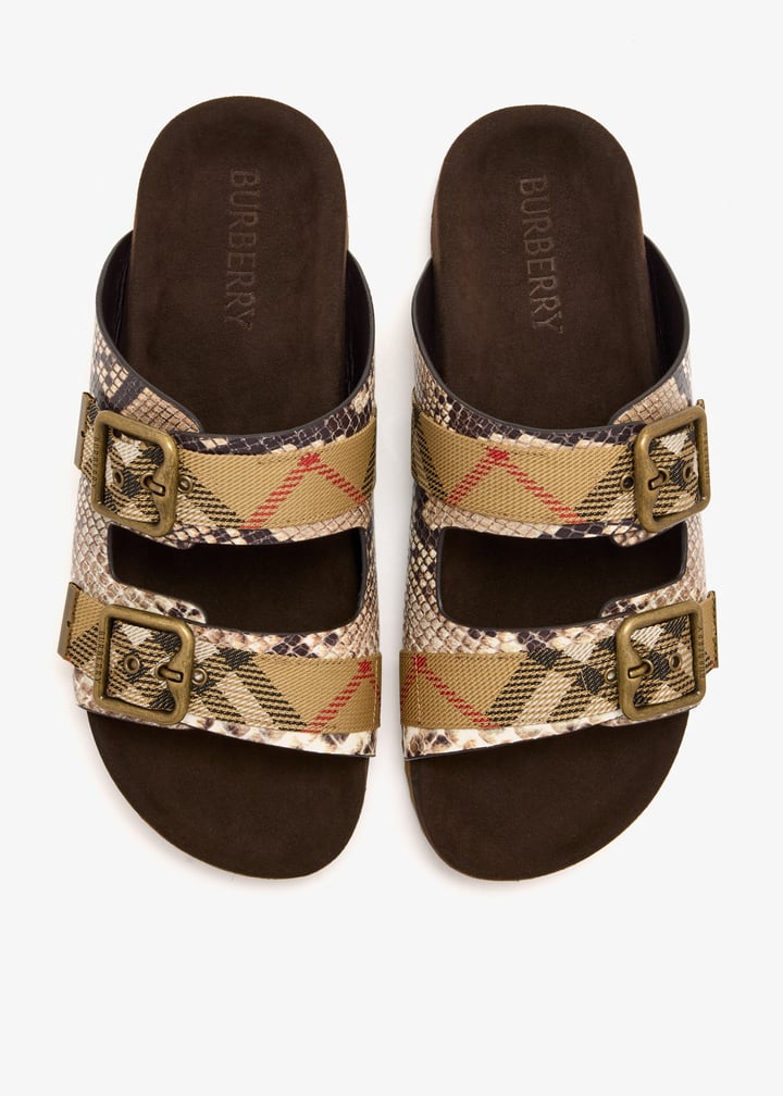 8124005_7.jpg?ts=20260310042849