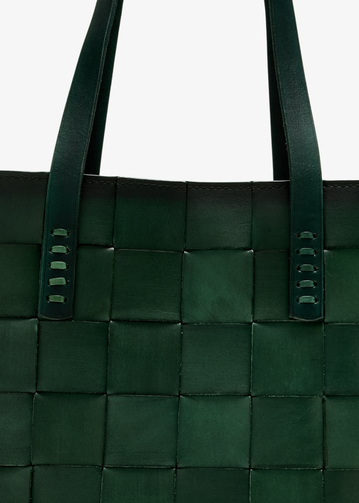 8151-forest_5.jpg?ts=20250729031631