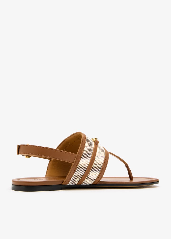 834431aaezj2744_4.jpg?ts=20250417032519