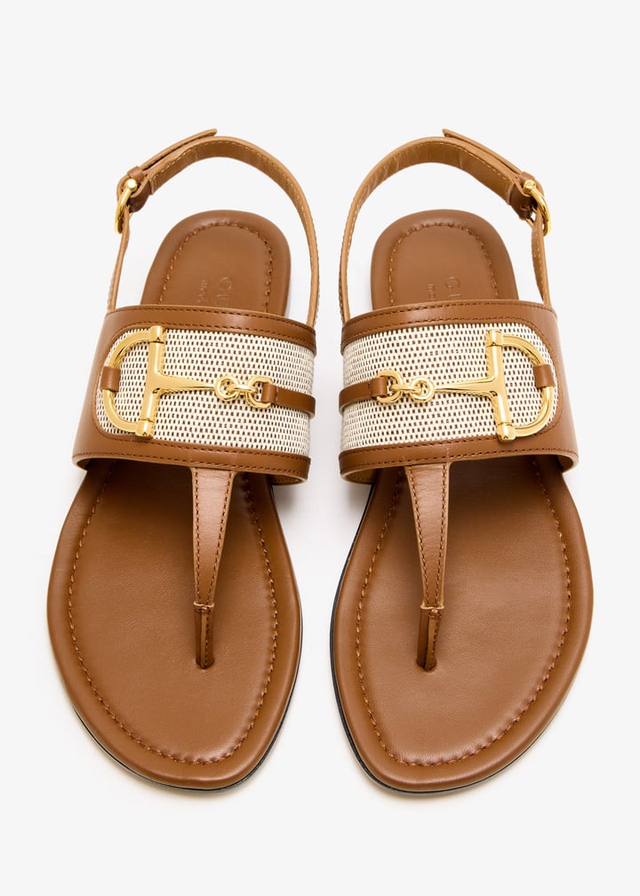 834431aaezj2744_5.jpg?ts=20250417032519