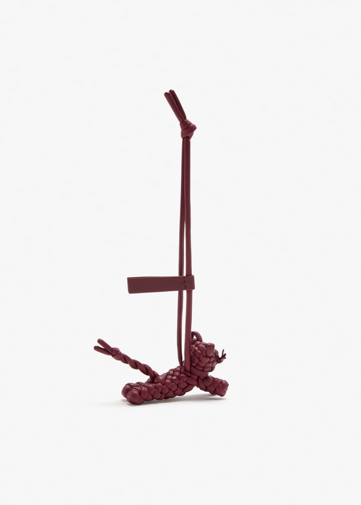 835969v64a06337_6.jpg?ts=20260307044701