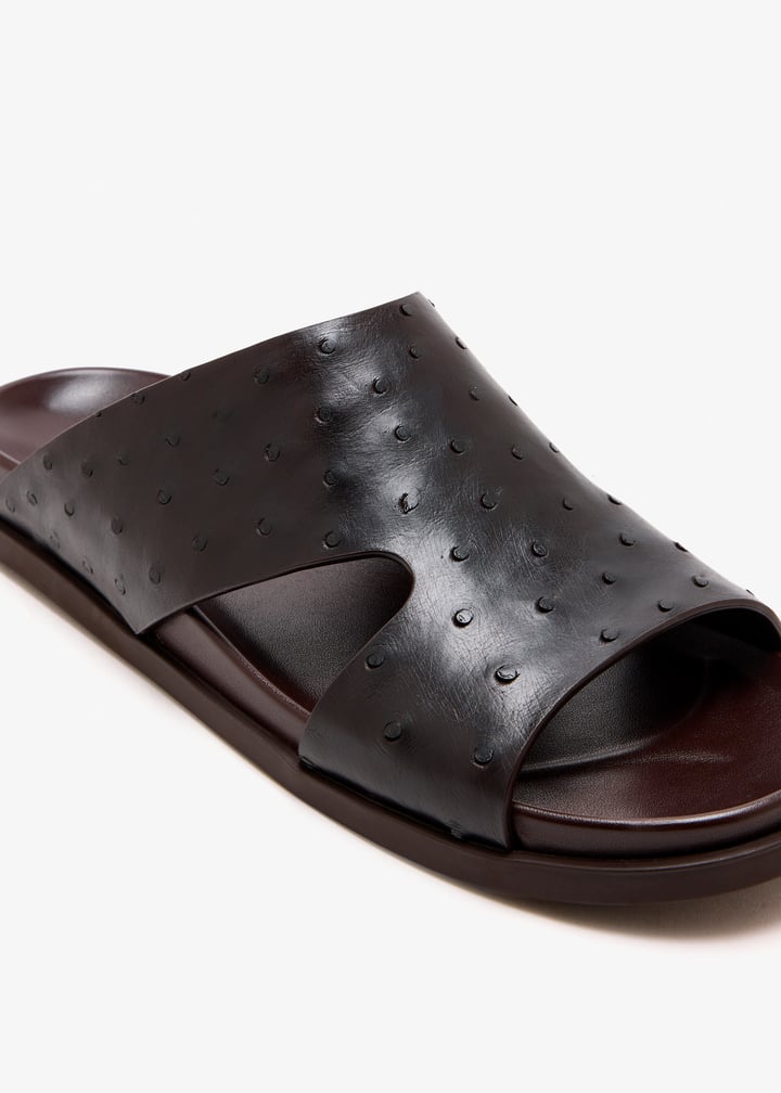 851397ey0002140_5.jpg?ts=20260123021051