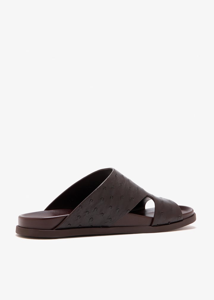 851397ey0002140_6.jpg?ts=20260123021051