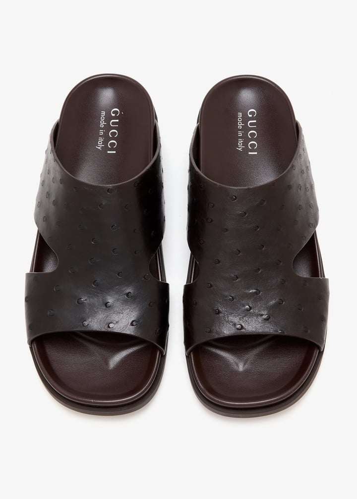 851397ey0002140_7.jpg?ts=20260122191055