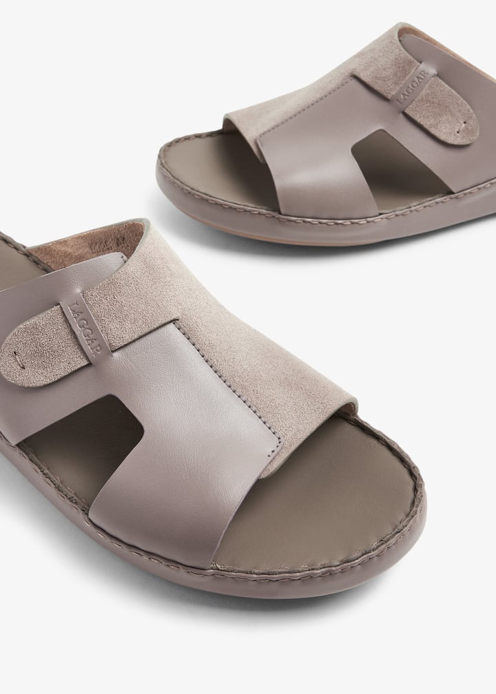 9925-tortor_3.jpg?ts=20240313032016