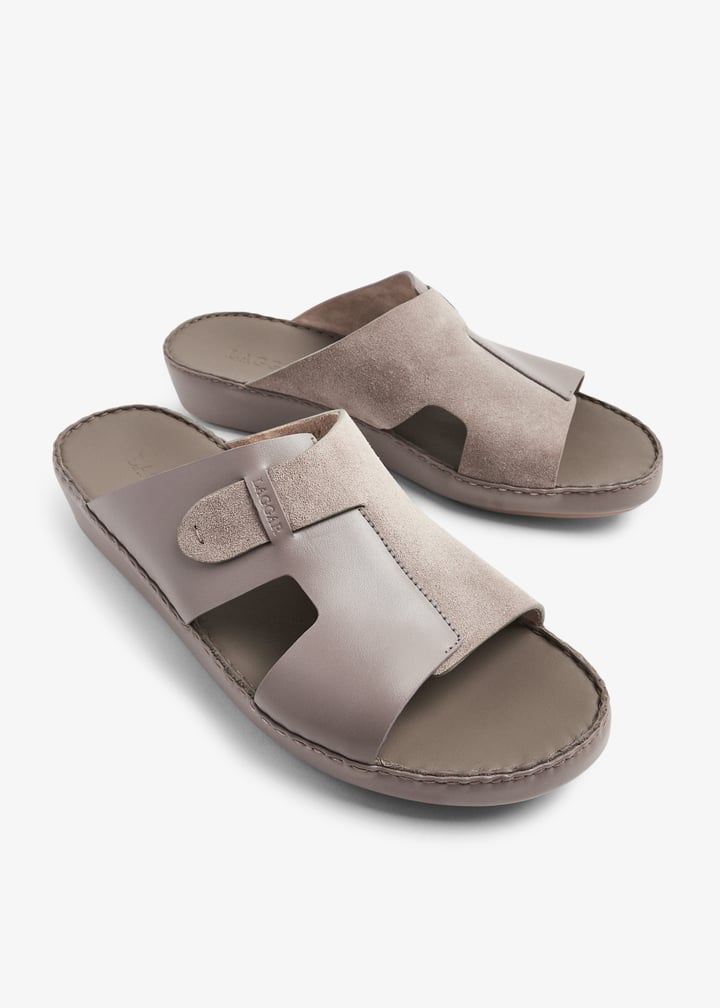 9925-tortor_5.jpg?ts=20240313032016