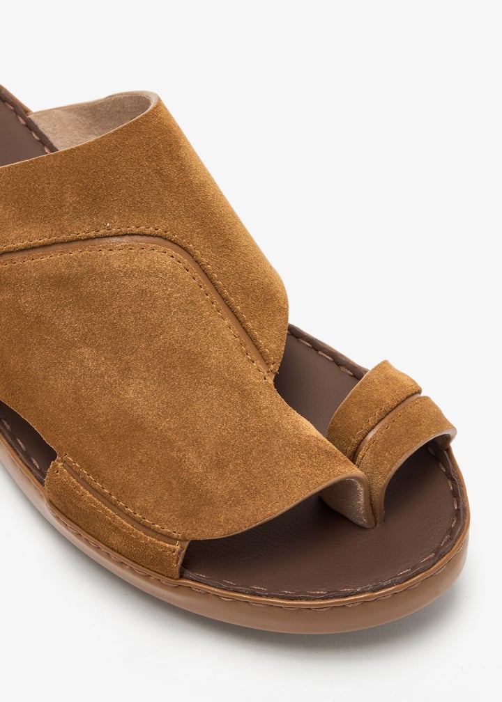 9929-sattle_5.jpg?ts=20250307032116