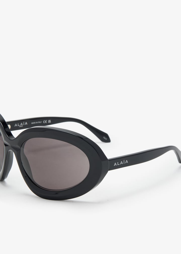 aa0101s-001_5.jpg?ts=20260223022122