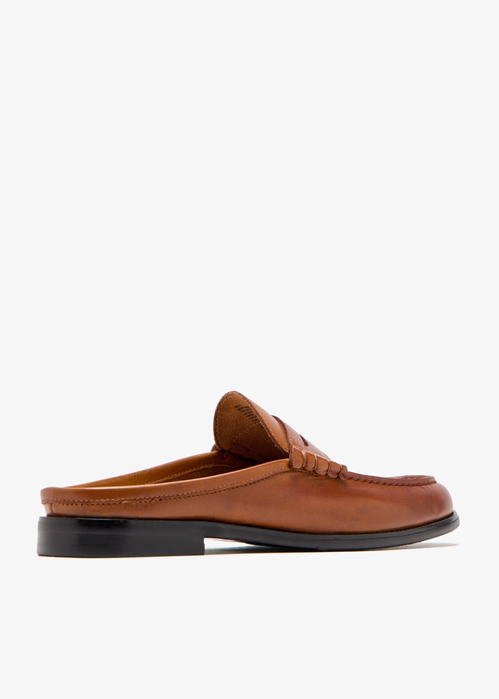 abot01m1-217_6.jpg?ts=20250510035713