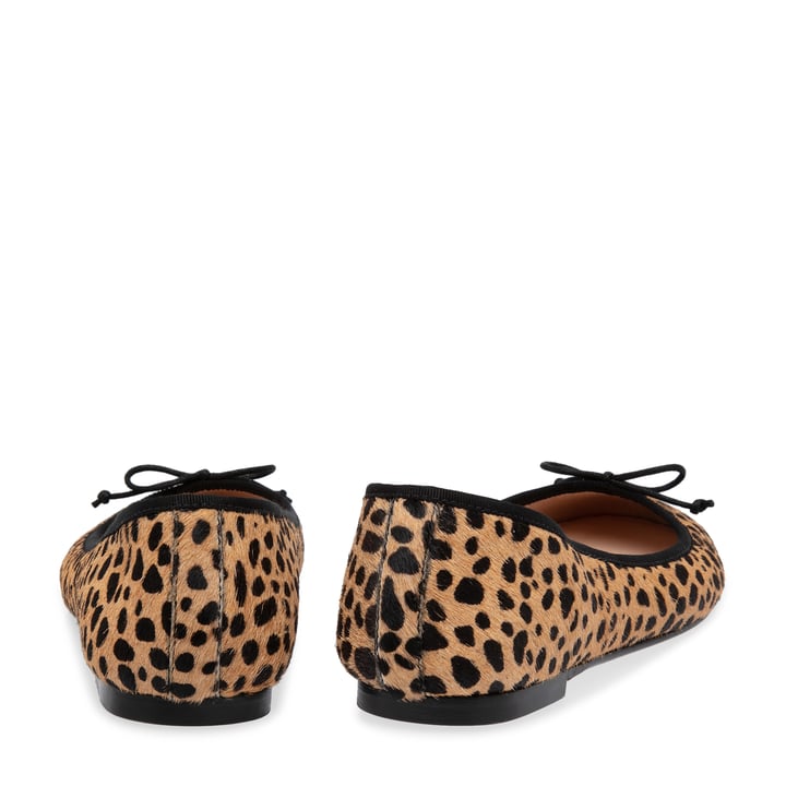 adeblak-chetah_3.jpg?ts=20220505183424