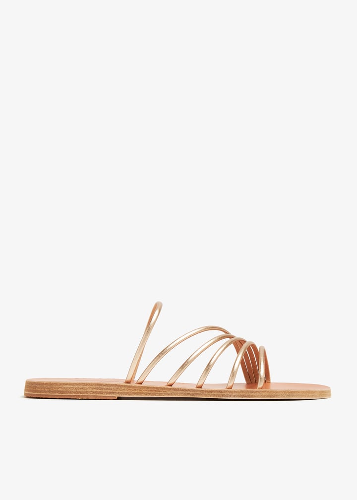 adriani-pltnum_1.jpg?ts=20240509034022