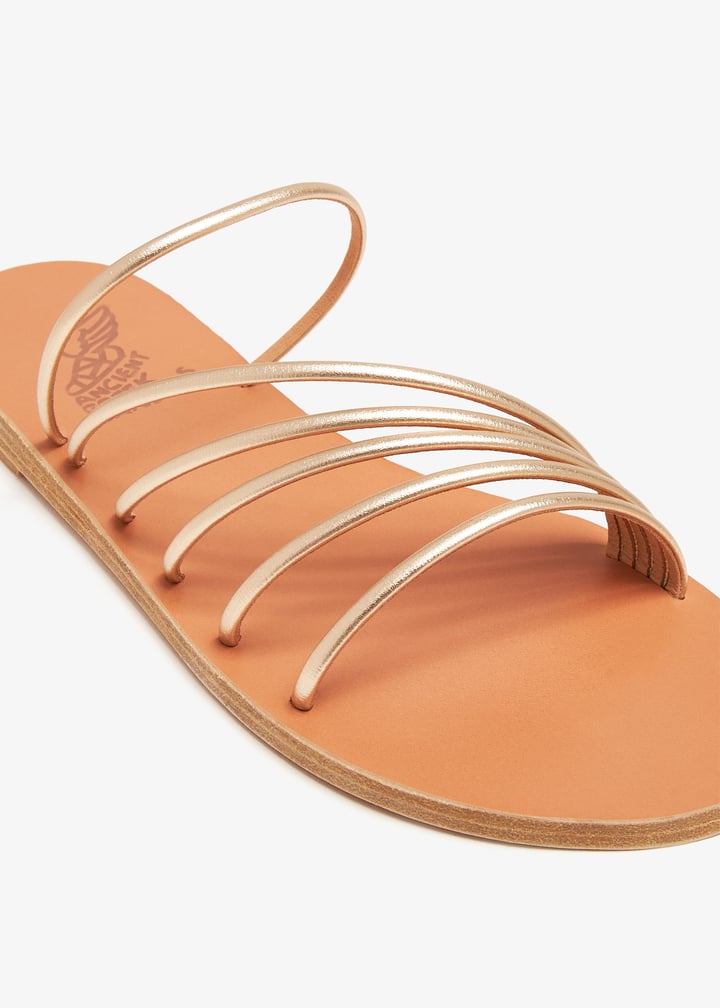 adriani-pltnum_5.jpg?ts=20240509034022