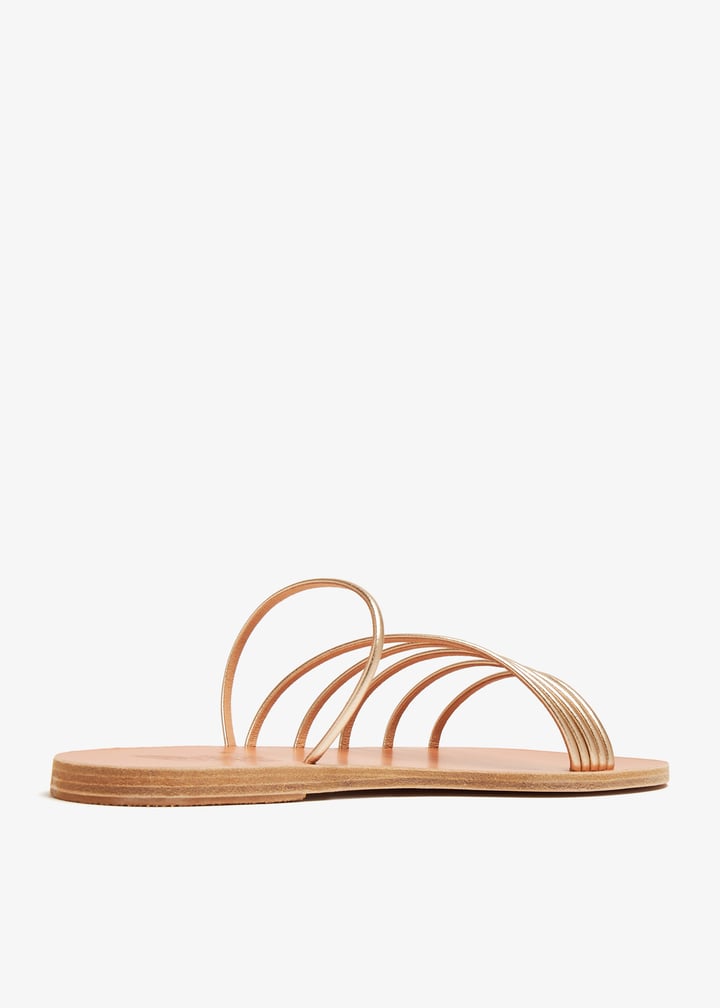 adriani-pltnum_6.jpg?ts=20240509034022