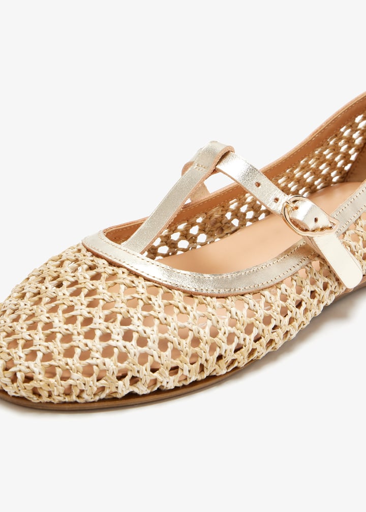 aerati-natplt_5.jpg?ts=20260403020537