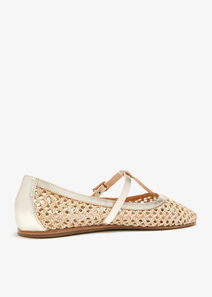 aerati-natplt_6.jpg?ts=20260403020537