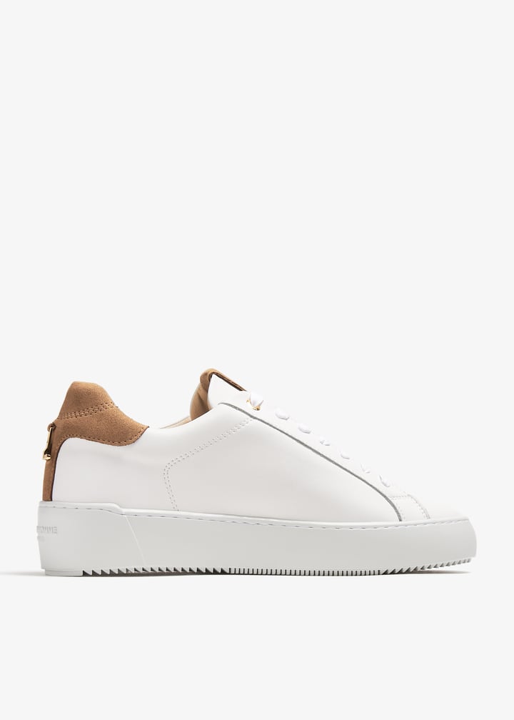 ahp231-67_4.jpg?ts=20240118031020