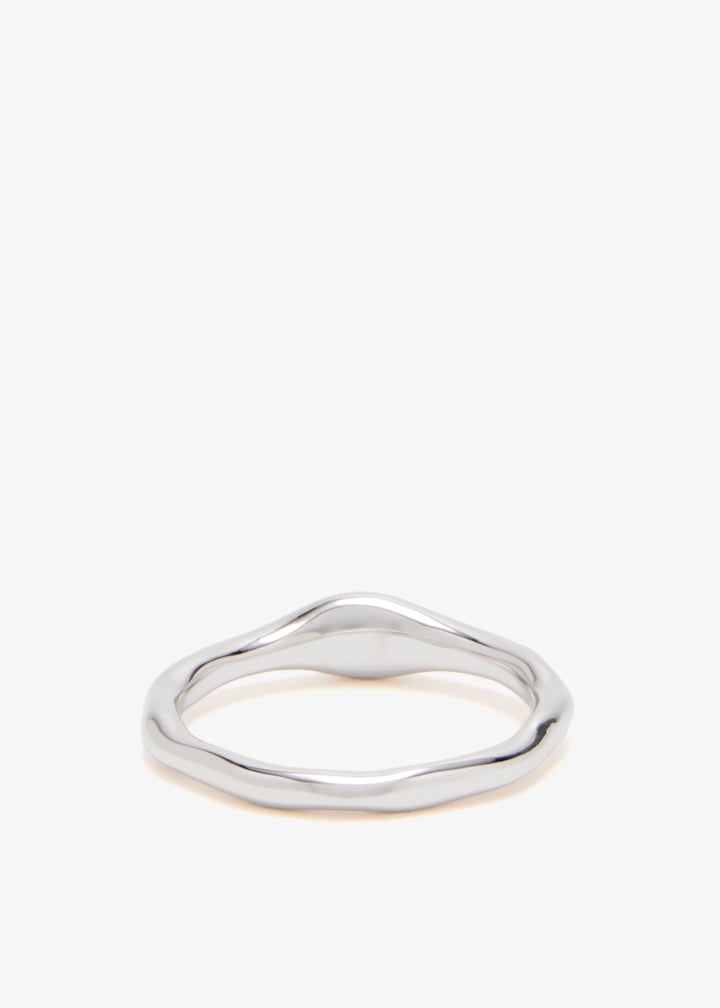 am25q3parmoltopls-silver_6.jpg?ts=20251231122407