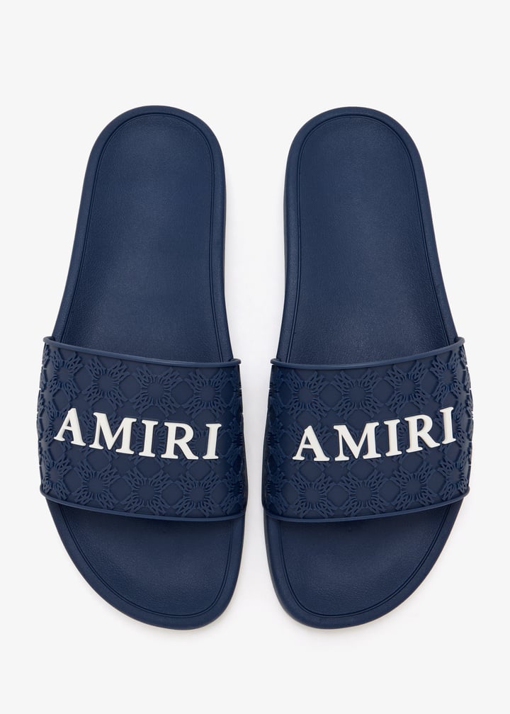 amflfl1001-508_7.jpg?ts=20260127021132