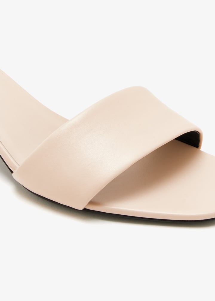 andy-lgtpnk_5.jpg?ts=20260203042830