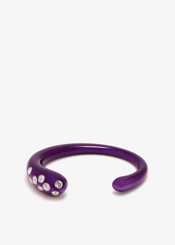 apc5-004-purple_1.jpg?ts=20251008031056