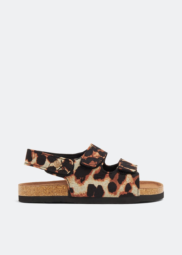 apkids-leop_1.jpg?ts=20230517030513