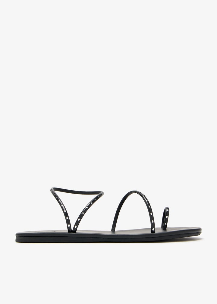 astro-blkslr_1.jpg?ts=20241126034025