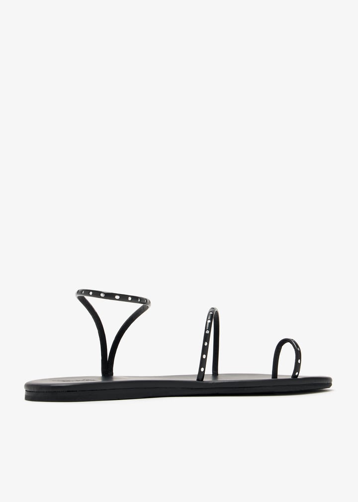 astro-blkslr_6.jpg?ts=20241126034025