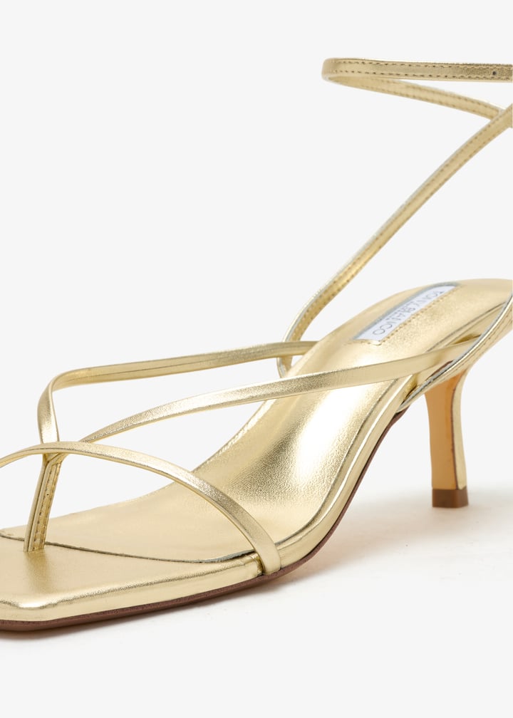 avi-goname_5.jpg?ts=20251025032010