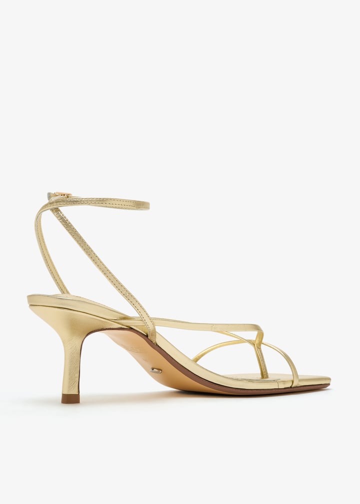 avi-goname_6.jpg?ts=20251025032010