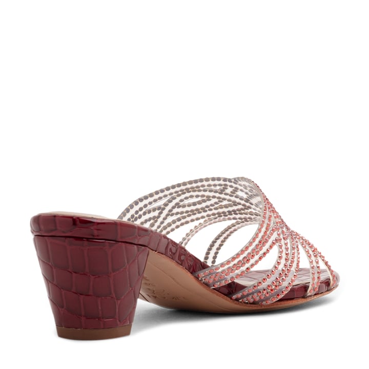 ayn-marcro_2.jpg?ts=20220505183439