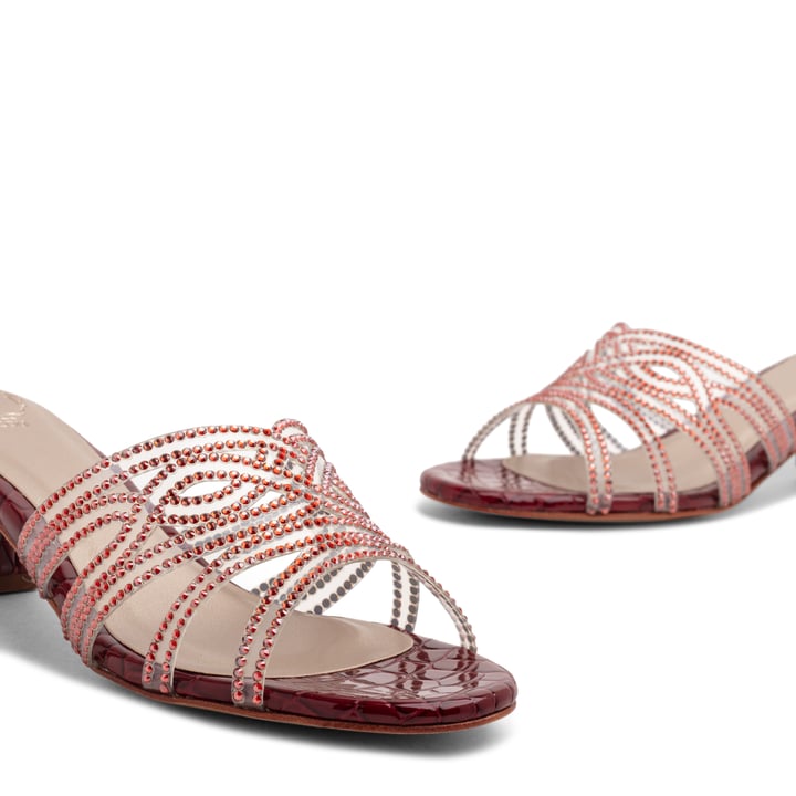 ayn-marcro_3.jpg?ts=20220505183439