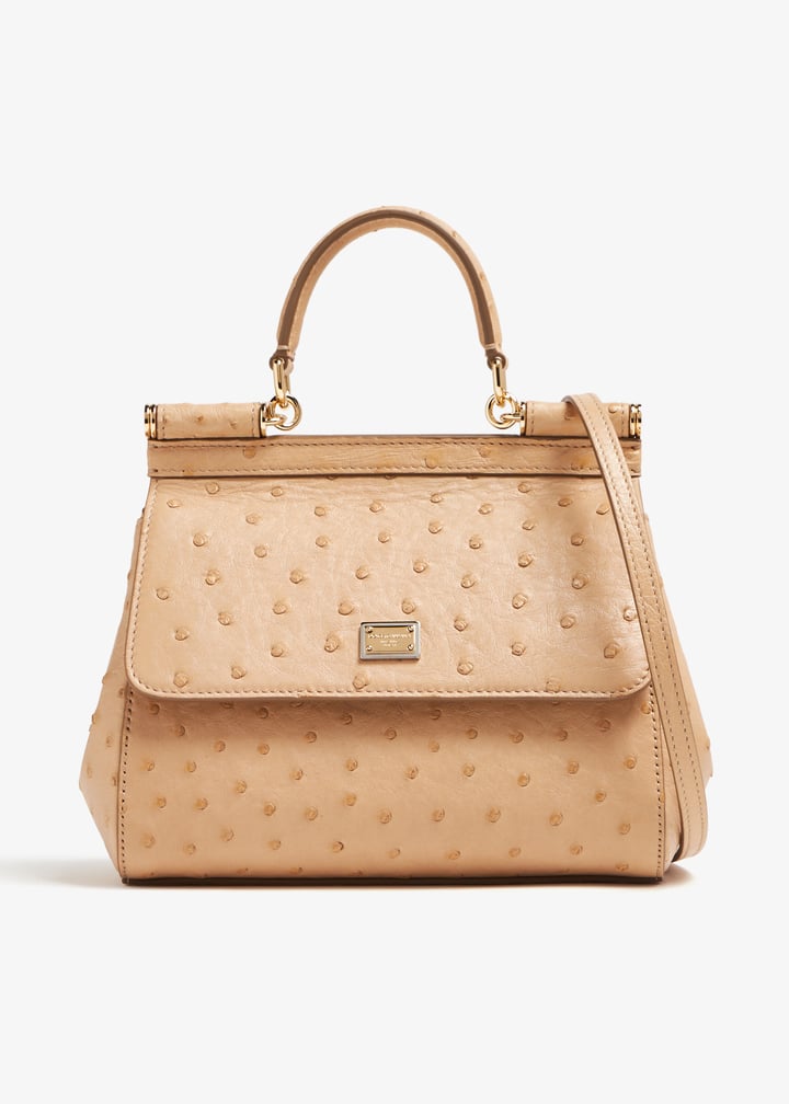 bb6003b82888x076_1.jpg?ts=20240202030514