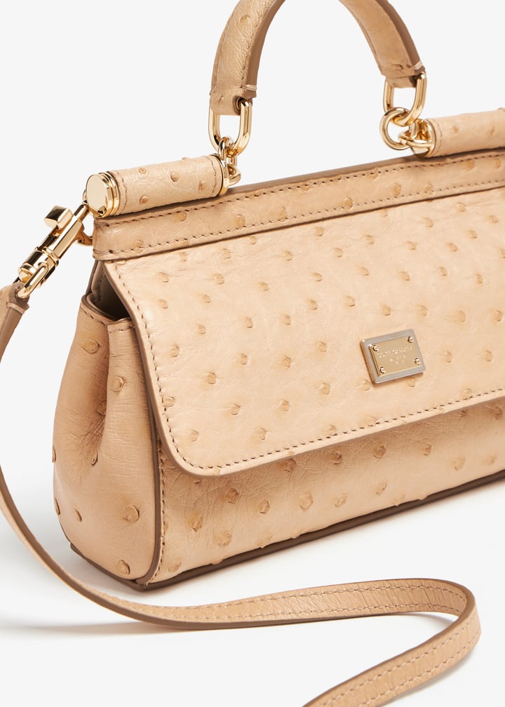 bb7116b82888x076_4.jpg?ts=20240202040019