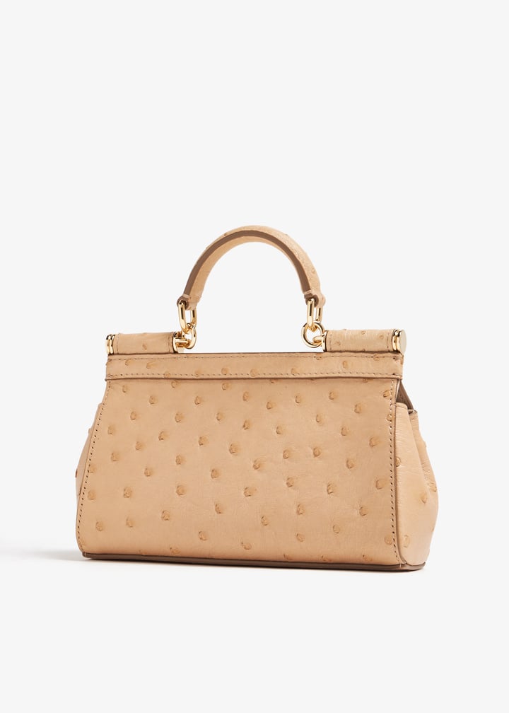 bb7116b82888x076_5.jpg?ts=20240202040019