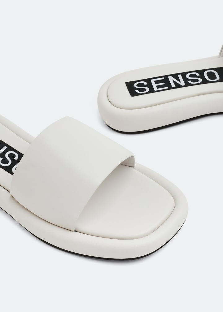 bentleyi-chalk_3.jpg?ts=20220907033012