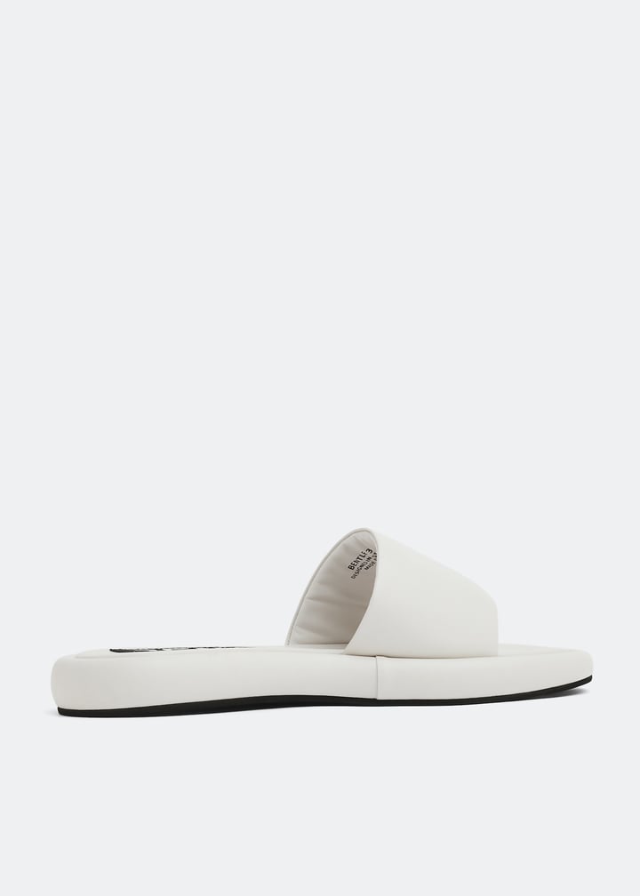 bentleyi-chalk_4.jpg?ts=20220907033012