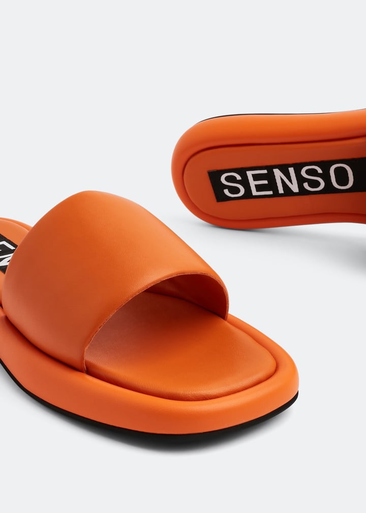 bentleyi-mandar_3.jpg?ts=20220920032108