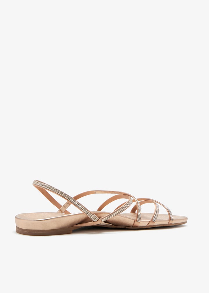 bera-02-rsglnl_6.jpg?ts=20260312020603